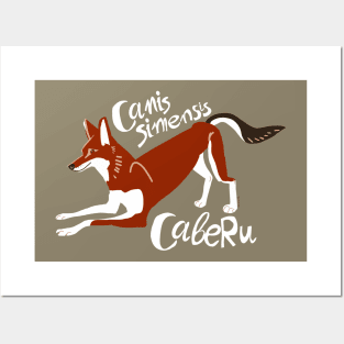 Caberu the Ethiopian Wolf #3 Posters and Art